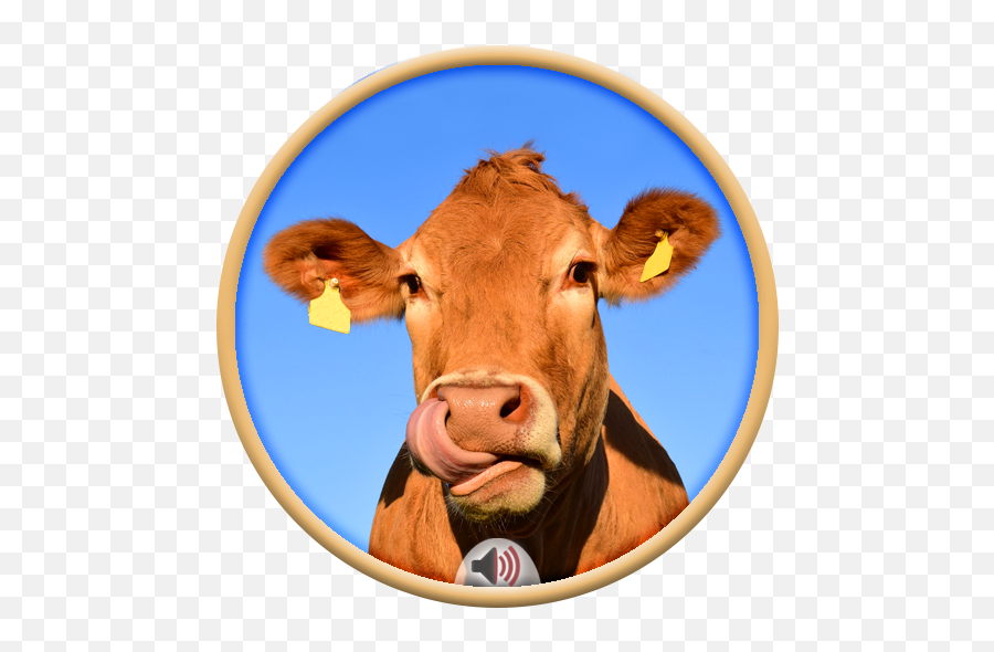 Cows Sounds - Apps On Google Play La Vache Emoji,Cow Emojis Png