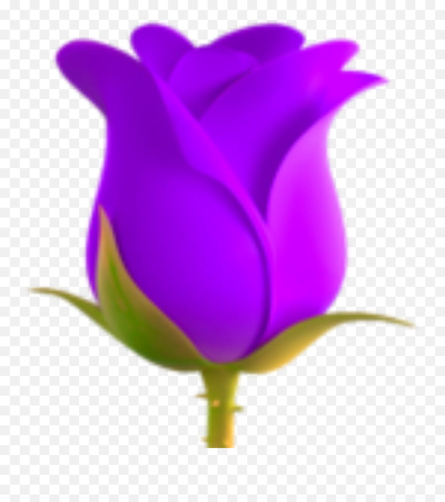 Emoji Emojis Purple 281766345003211 By Leggyswife,Emoticon Purple Rose
