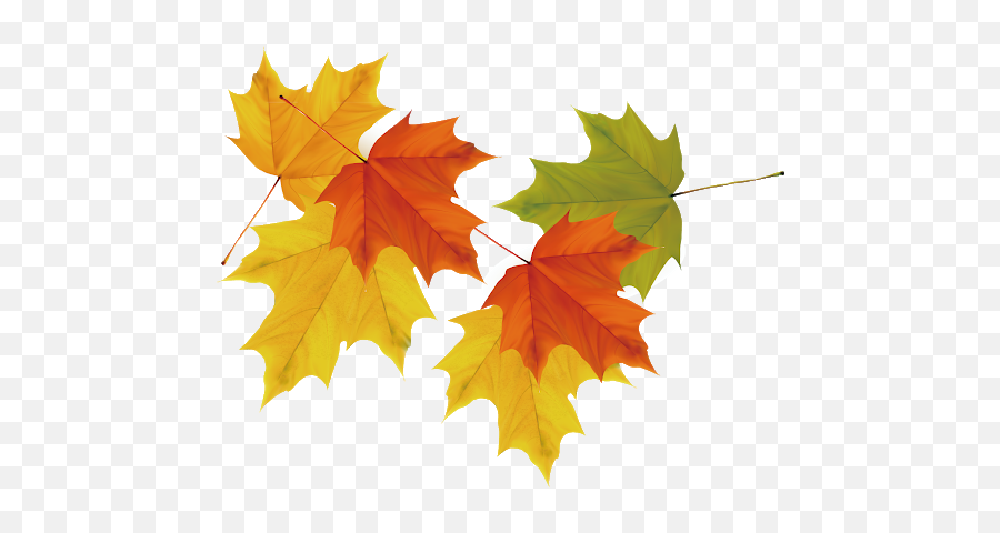 Vector Autumn Leaf Falling Download Png Image Png Mart Emoji,Autmn Emoji