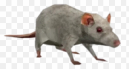 Sticker Pack - Stickers Cloud Emoji,White Rat Emoji