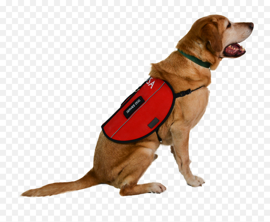 Emotional Support Animal Png U0026 Free Emotional Support Animal - Service Dog No Background Emoji,Dog Dog Heart Emoji Puzzle
