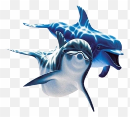 Coming Out Of Sea Three Dolphins Png Hd - 31223 Emoji,Teal Dolphin Emoji