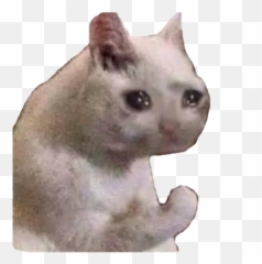 Cursed Cats By Rookie - Sticker Maker For Whatsapp Emoji,3336 Confused Cat Emoji
