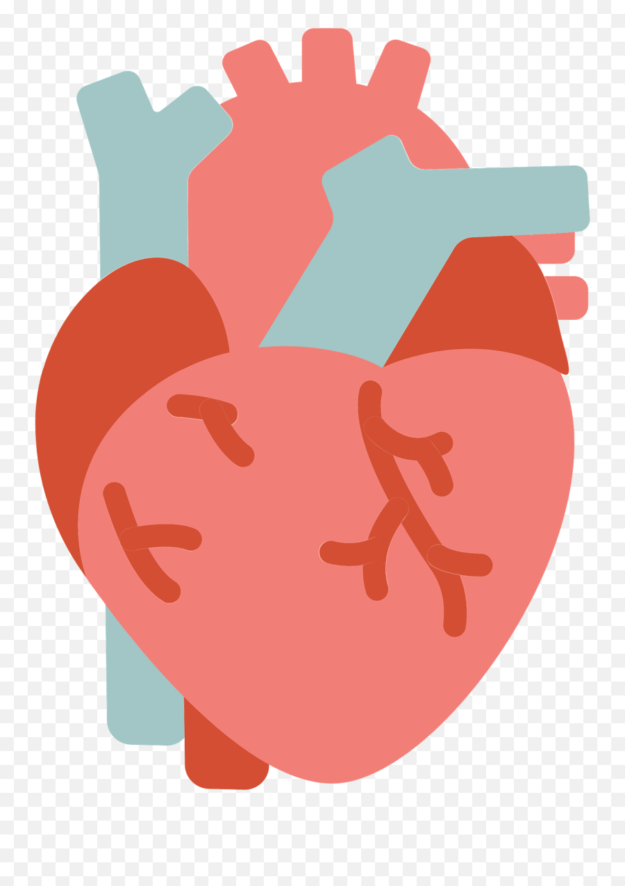 Human Heart Clipart Free Download Transparent Png Creazilla - Human Heart Clipart Emoji,Liver Emoji