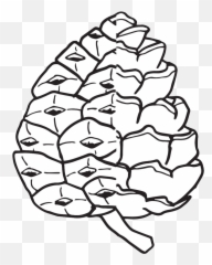 Pinecone Clipart Coniferous Tree - Simple Pine Cone Coloring Page Emoji,Pinecone Emoji