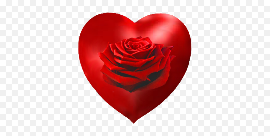 Valentines Day Hearts Valentine Graphics - Garden Roses Emoji,Free Valentines Day Emoticons