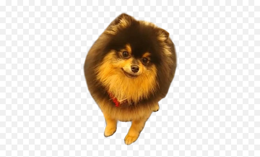 The Most Edited - Tannie Bts Emoji,Yeontan Emoticon