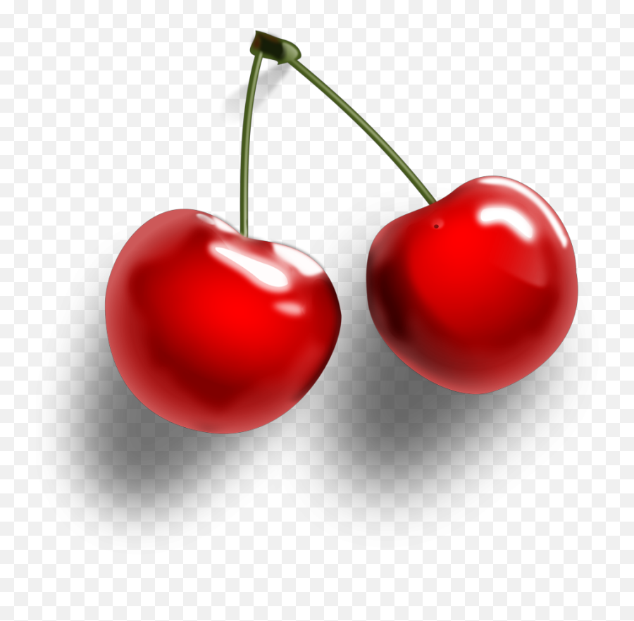 Cherry Cherries Fruit Cereza Sticker - Cherry Transparent Background Emoji,Cherries Emoji