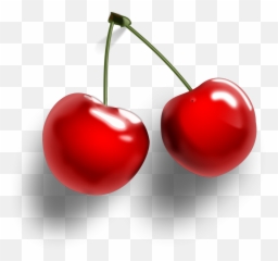 Cherry Cherries Fruit Cereza Sticker - Cherry Transparent Background Emoji,Cherries Emoji