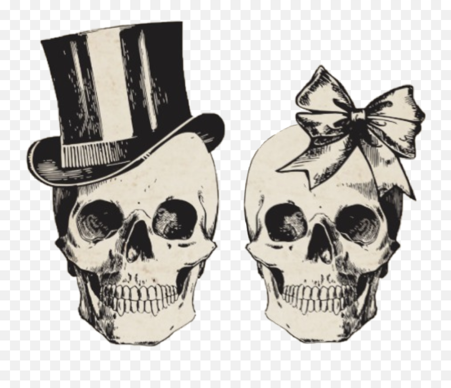 Skull Skulls Husband Wife Man Sticker By Stephanie - Human Skull Black And White Emoji,Dead Skull Emoji