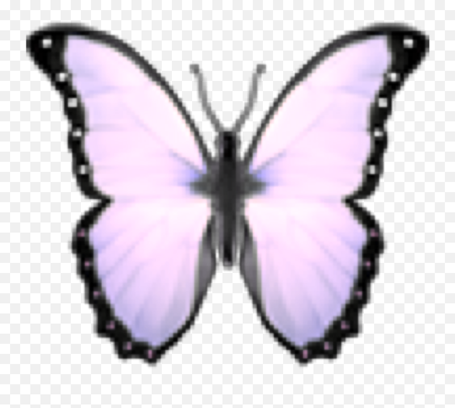 Aesthetic Tumblr Butterfly Emoji Background - Girly,Aesthetic Emoji