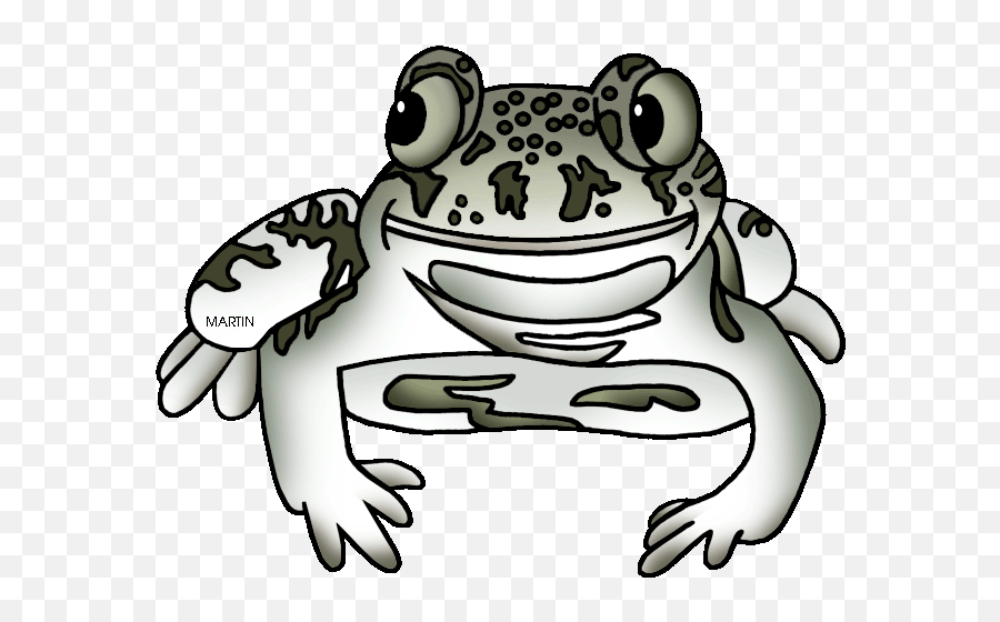 New Mexico State Amphibian Spadefoot - Spadefoot Toad Clipart Emoji,Spadefoot Toad Emotion