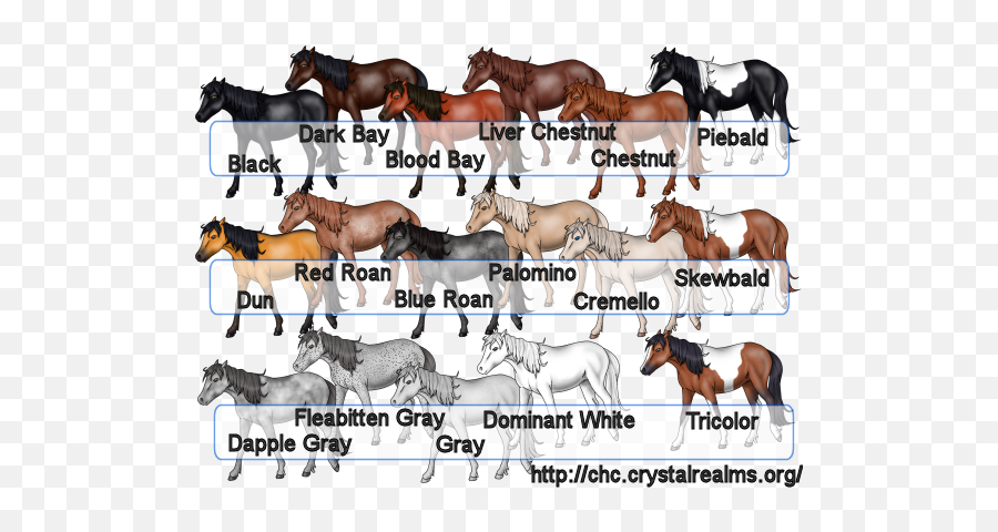 Horses Are Commonly Put Down For Breaking A Leg Is The Same Emoji,Inside Out Bicolor Emotion