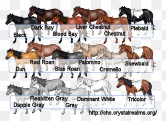 Horses Are Commonly Put Down For Breaking A Leg Is The Same Emoji,Inside Out Bicolor Emotion