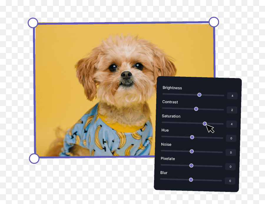 Brighten Image Online - Free Photo Lightener Tool Emoji,Snapchat Blurs Under Emojis