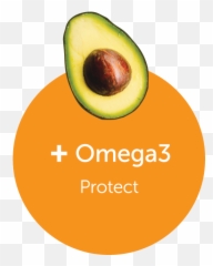 New Zealand Avocado With New Zealandu0027s Vast Coastline Emoji,New Zealnd Emoji