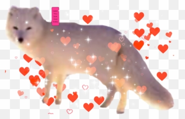 The Most Edited - Animal Figure Emoji,Arctic Fox Emoji