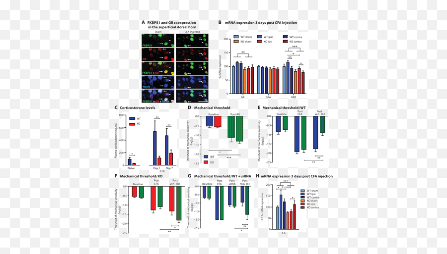 The Stress Regulator Fkbp51 Drives Chronic Pain By - Statistical Graphics Emoji,Republica Dominicana Klk Emojis