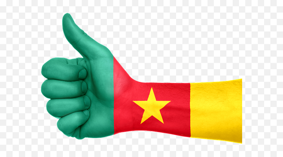 History Meaning Color Codesu0026 Pictures Of Cameroon Flag - Canada Thumbs Up Emoji,Emoji 3 French Flag And Tower