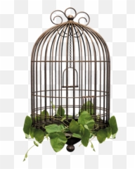 Birdcage Cage Sticker - Bird Cage Transparent Background Emoji,Cage Emoji