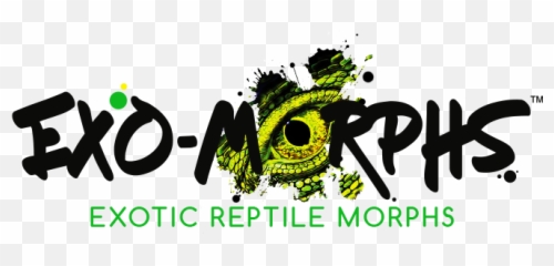 Extreme Harlequin U2013 Exo - Morphs Dot Emoji,What Does Color Say About Crested Geckos Emotion