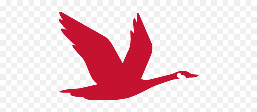 Wawa Red Bird Logo App Icon Sticker - Bird Wawa Goose Logo Emoji,Red Bird Emoji