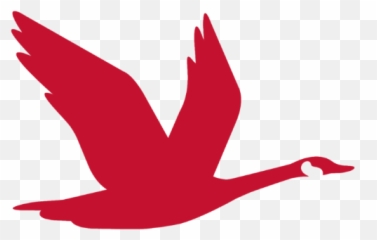 Wawa Red Bird Logo App Icon Sticker - Bird Wawa Goose Logo Emoji,Red Bird Emoji