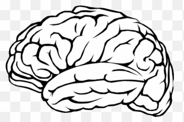 Strokes Of Change - Transparent Brain Outline Emoji,Surgery Cut Open Brain And No Emotion