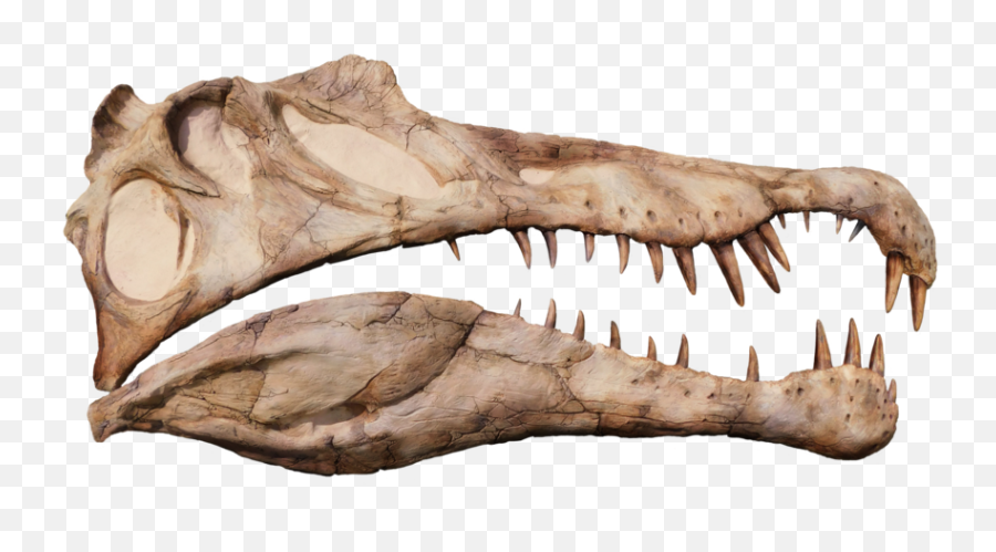 Spinosaurus Aegyptiacus Life Sized Half Emoji,Skull & Acrossbones Emoticon