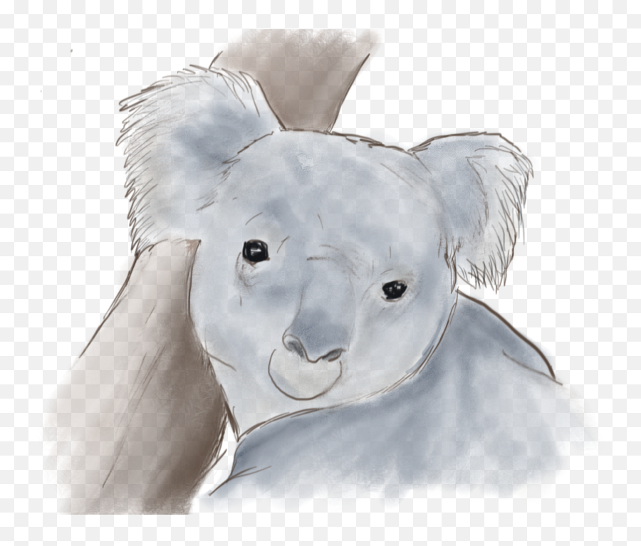 Orgwp Transparent - Koala Transparent Cartoon Jingfm Soft Emoji,Koala Emoji Png