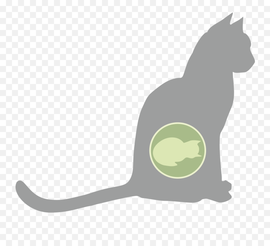 Pregnant Cat Here Are The Most Important Factors To - Pregnant Cat Uterus Emoji,Cat Ass Emoticon