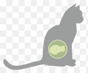 Pregnant Cat Here Are The Most Important Factors To - Pregnant Cat Uterus Emoji,Cat Ass Emoticon