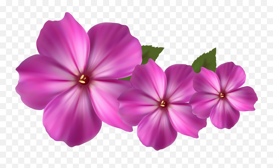 Free Flowers Tumblr Transparent Download Free Clip Art - Transparent Purple And Pink Flowers Emoji,Tumblr Flower Emoji