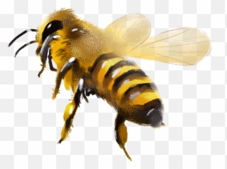 The Most Edited Honey Picsart - Honey Bee Picsart Png Emoji,Emoji For The Green Hornet