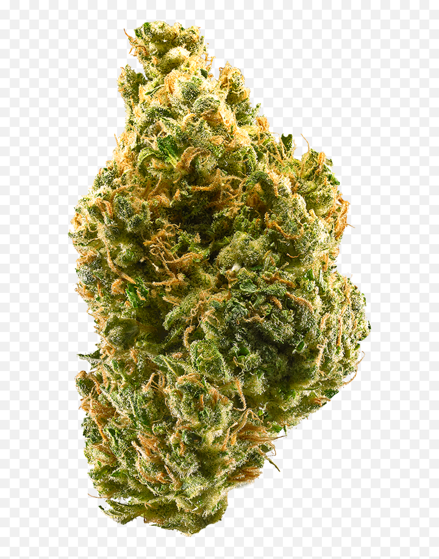 Tangie Marijuana Strain Information - Tangie Weed Strain Emoji,Weed That Numbs Your Emotions]