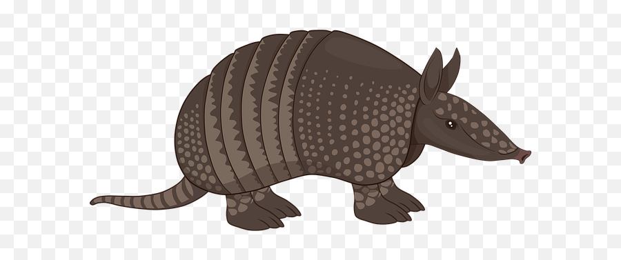 Ge A1 Unit 3 Revision - Baamboozle Armadillo Vector Emoji,Sitting Monkey Emoji Png