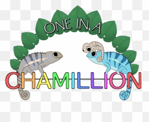 One In A Chamillion Emoji,What Does Color Say About Crested Geckos Emotion