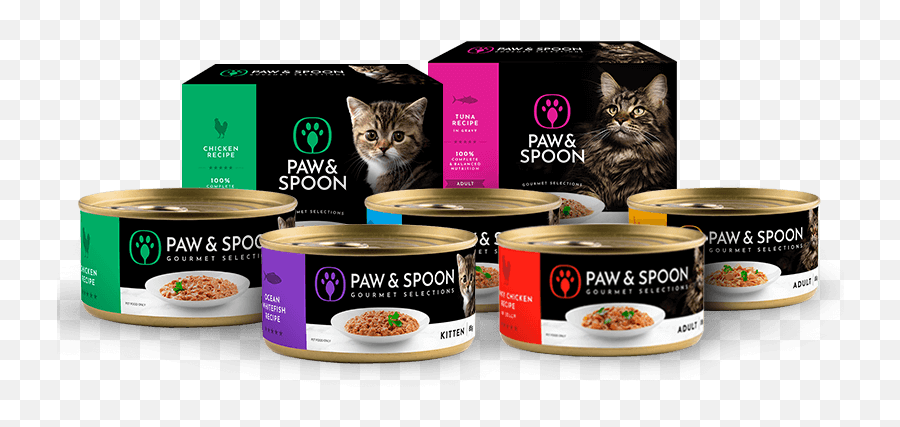 Best Wet Food For Cats - Cat Food Emoji,4 Different Cats With 4 Different Emotions