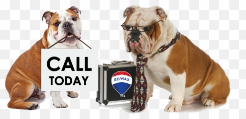 Candace Sells Brevard - Pug Vs French Bulldog Vs English Bulldog Emoji,Putnam Facebook Emoticon Meaning