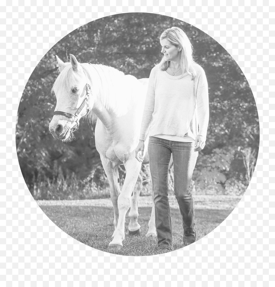 Jennifer Schramm Counselling Life Coaching Self - Horse Supplies Emoji,Horse Emotions Printable Encyclopedia