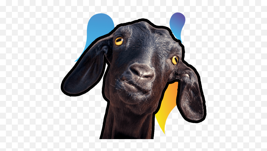 Red Rock Sabor Misterioso Emoji,Happy Birthday Rock Emojis Red Rock Sabor Misterioso Emoji,Happy Birthday Rock Emojis