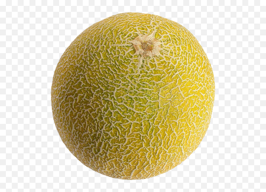 Melon Transparent Png Image - Melon Png Emoji,Cantaloupe Emoji