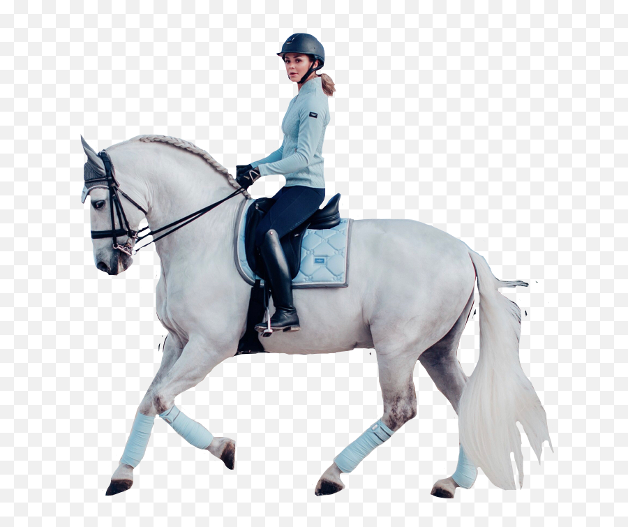 Horse Horses Horseriding Equestrian - Halter Emoji,Horse Riding Emoji