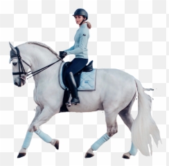 Horse Horses Horseriding Equestrian - Halter Emoji,Horse Riding Emoji
