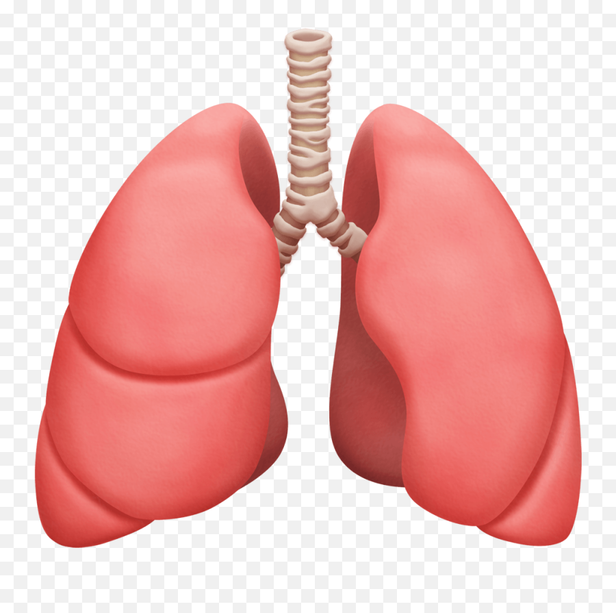 Apple And Google Reveal New Emojis Coming Later This Year - Lung Emoji,New Emojis