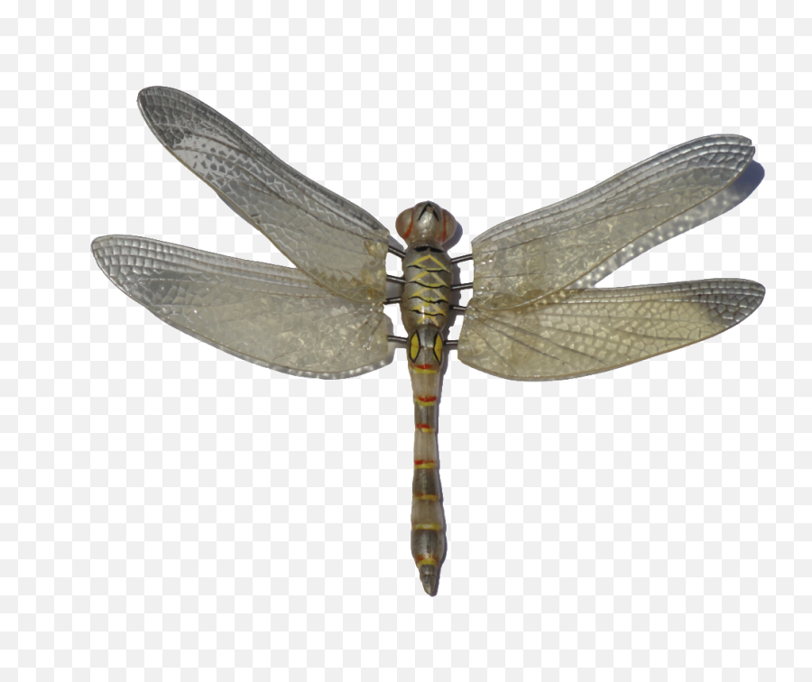 Free Clipart Dragonfly Free Dragonfly - Dragonfly Png Emoji,Dragonfly Emoji