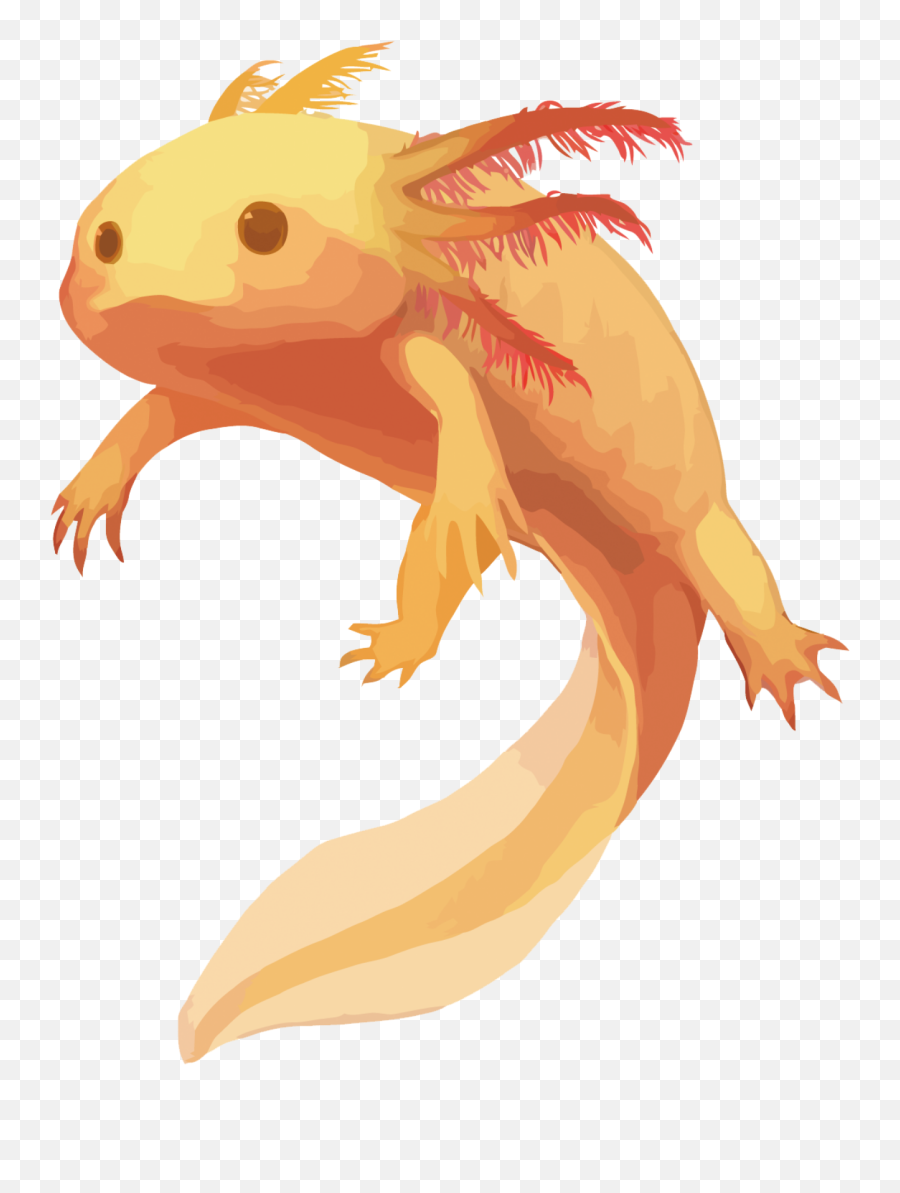 Mq Lizard Salamander Animal Animals - Axolotl Wallpaper Hd Emoji,Salamander Emoji