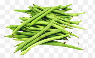 Plant Clipart String Bean Plant String - Green Beans Png Emoji,Green Bean Emoji