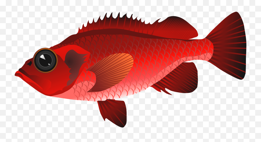 Picture - Red Fish Png Clipart Emoji,Fish Emoji