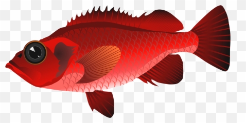 Picture - Red Fish Png Clipart Emoji,Fish Emoji